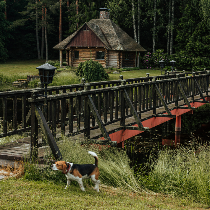 Log Cabin 1